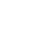 Same-Day Repair icon